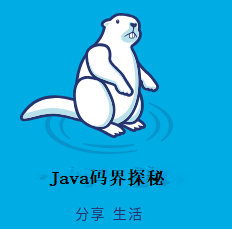 Java码界探秘